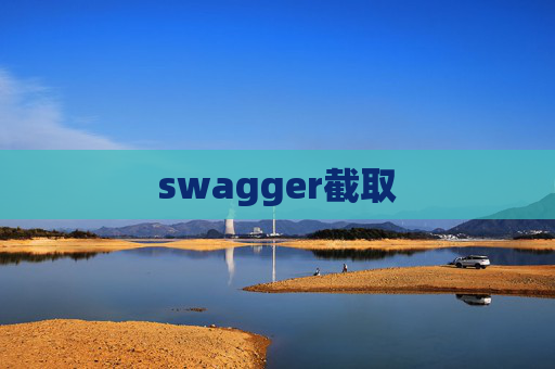 swagger截取